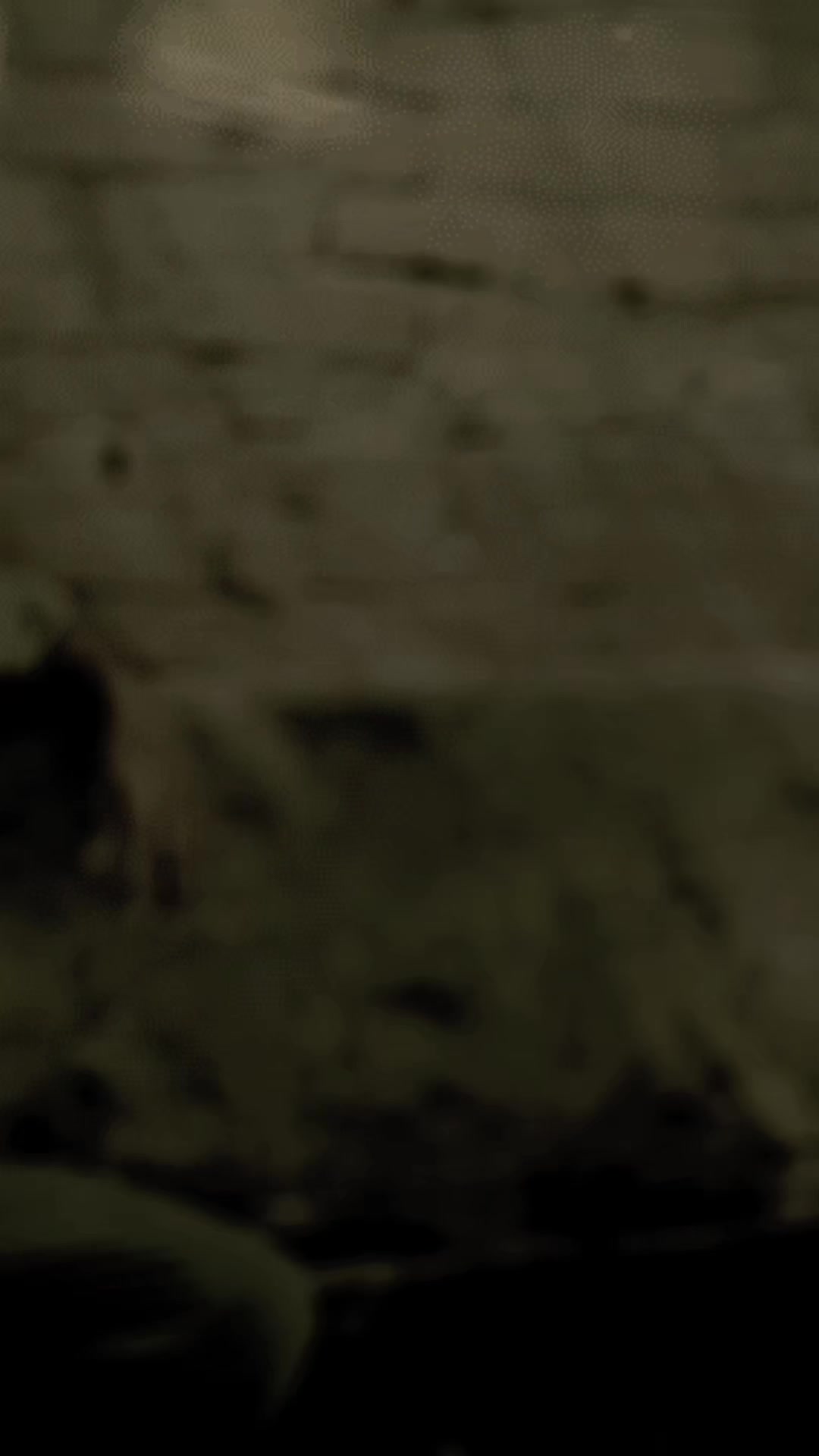 @🕊️🕷️