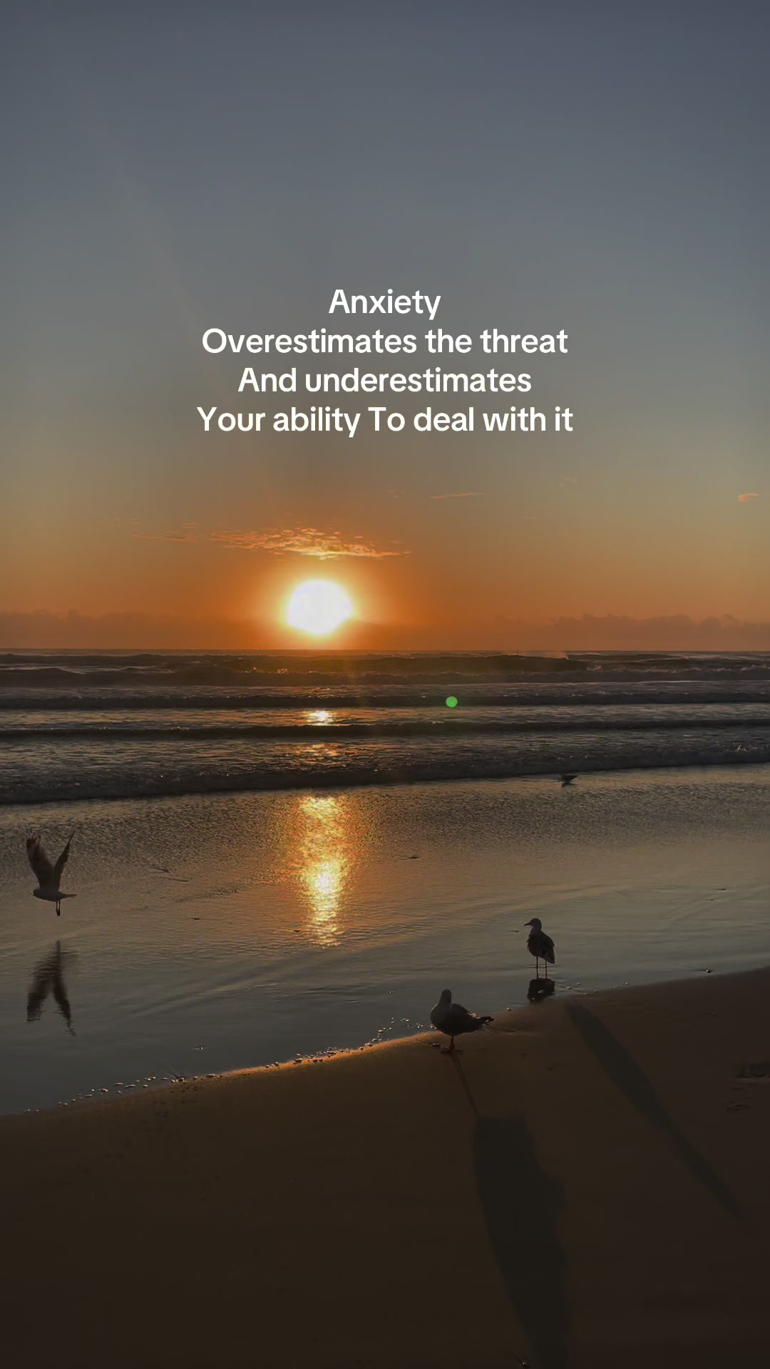 @The Life Reset Coach