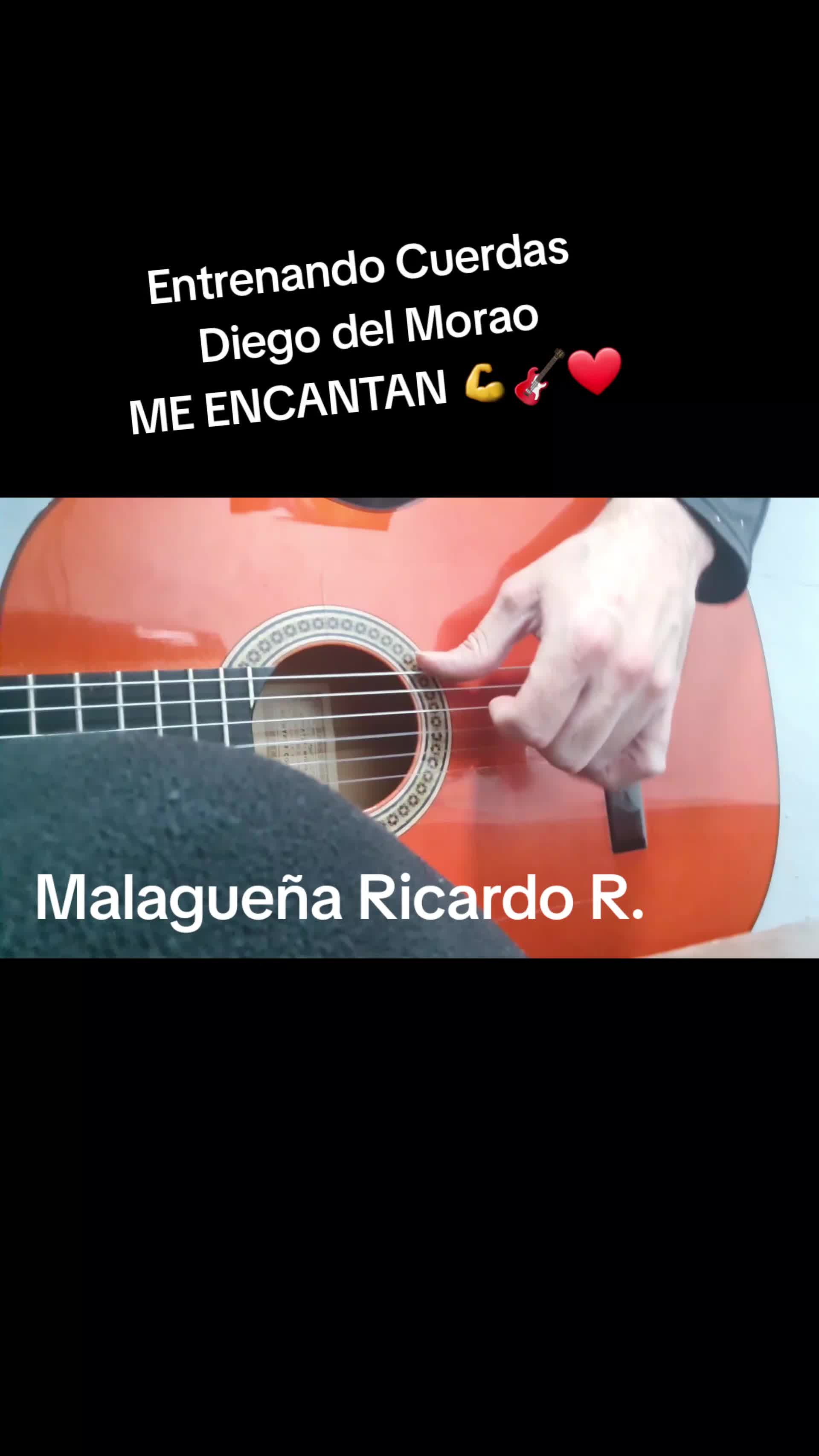 @&iexcl;GUITARRA FLAMENCA ONLINE!