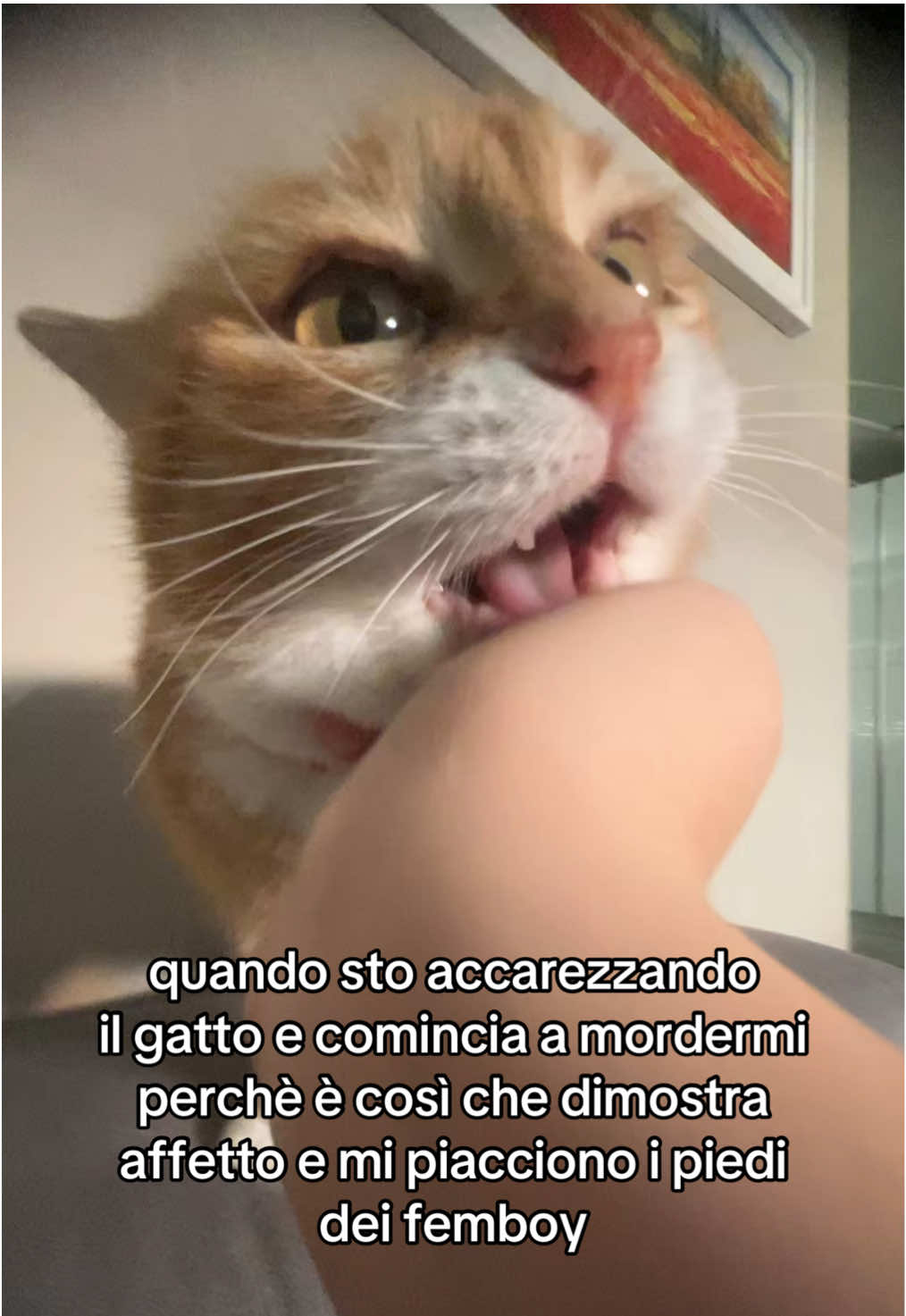 @Matteo