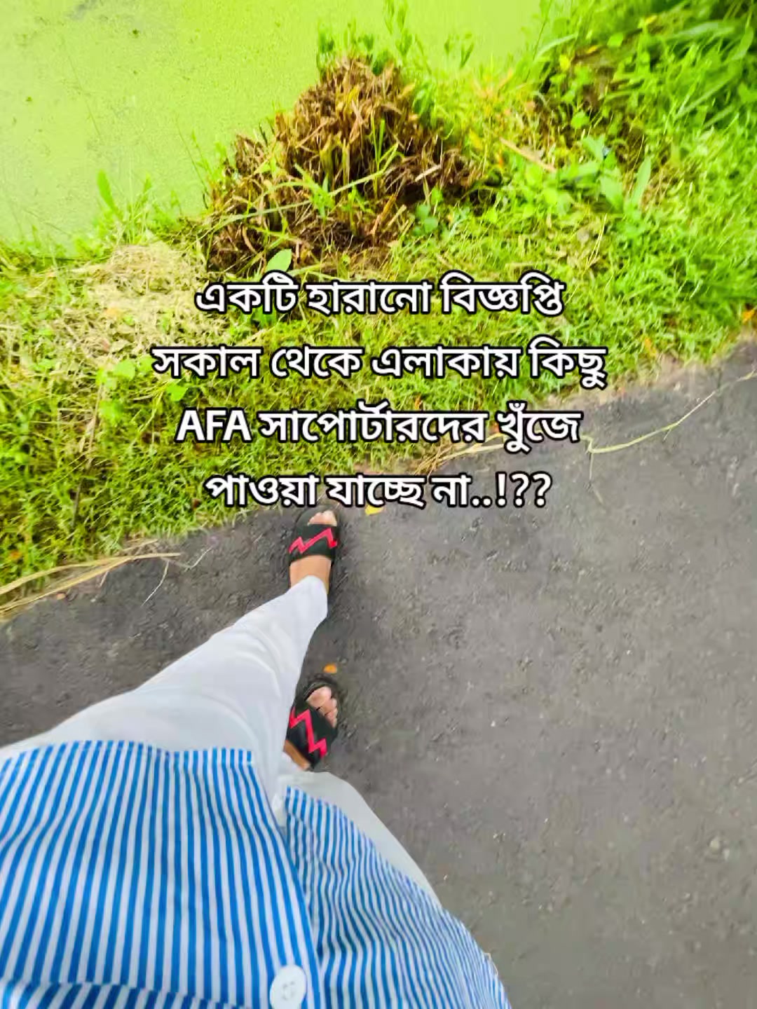 @Rox Noyon 