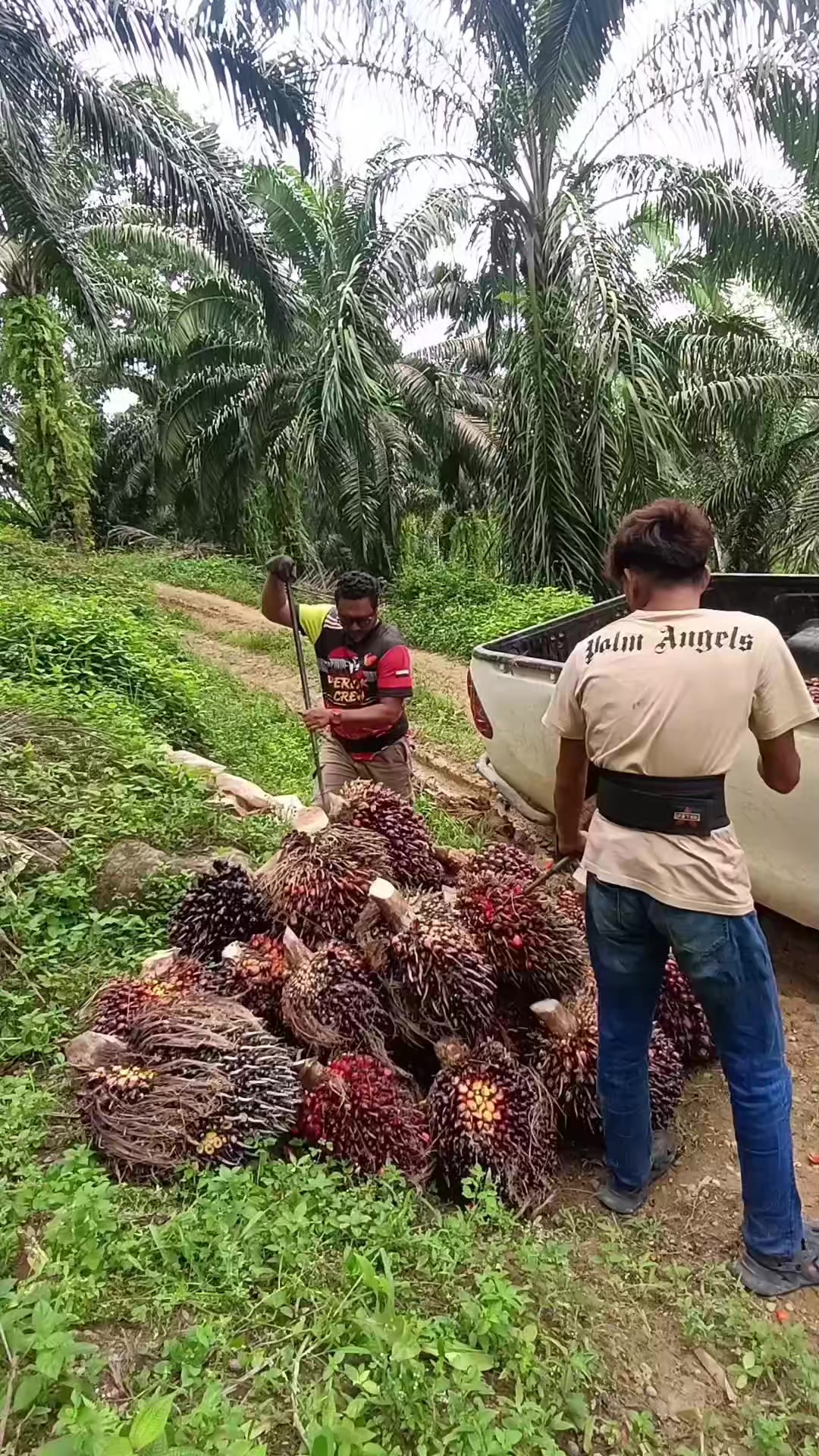 @RoHaIzAd_Rahim🇲🇾🇲🇾