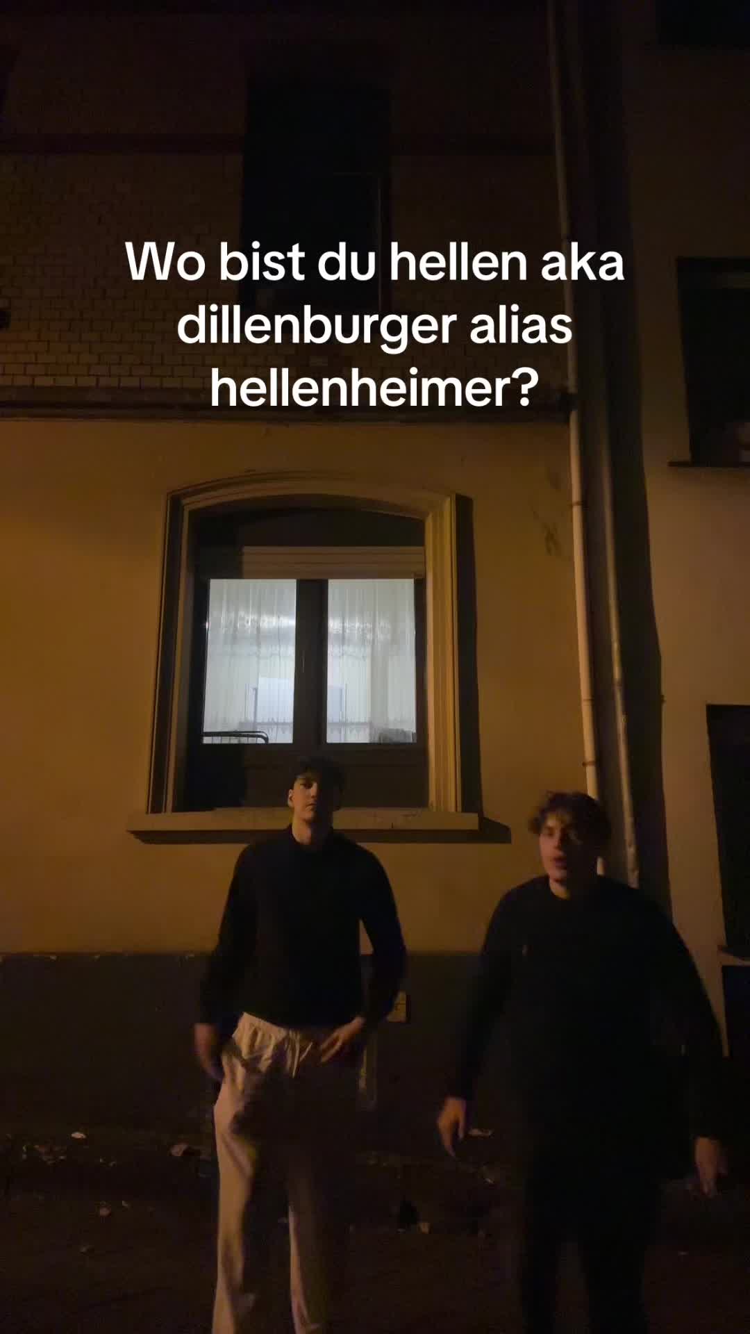 @hellste cats