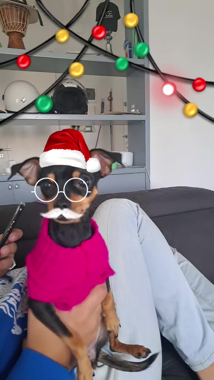 @francescascorrano0