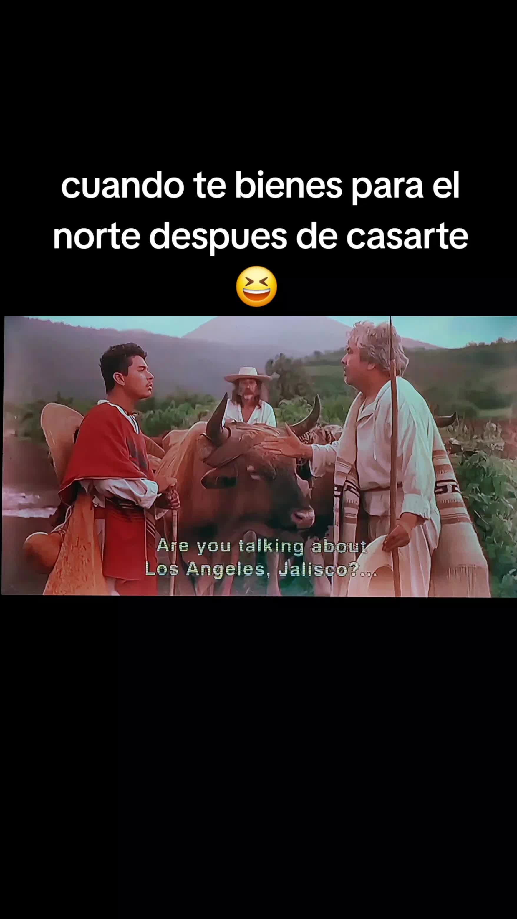 @Chipupi
