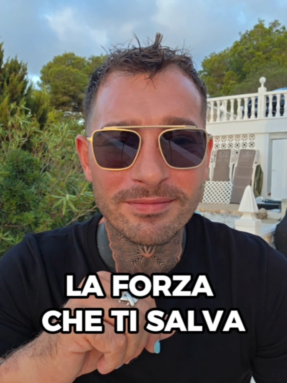 @steve.mori.official