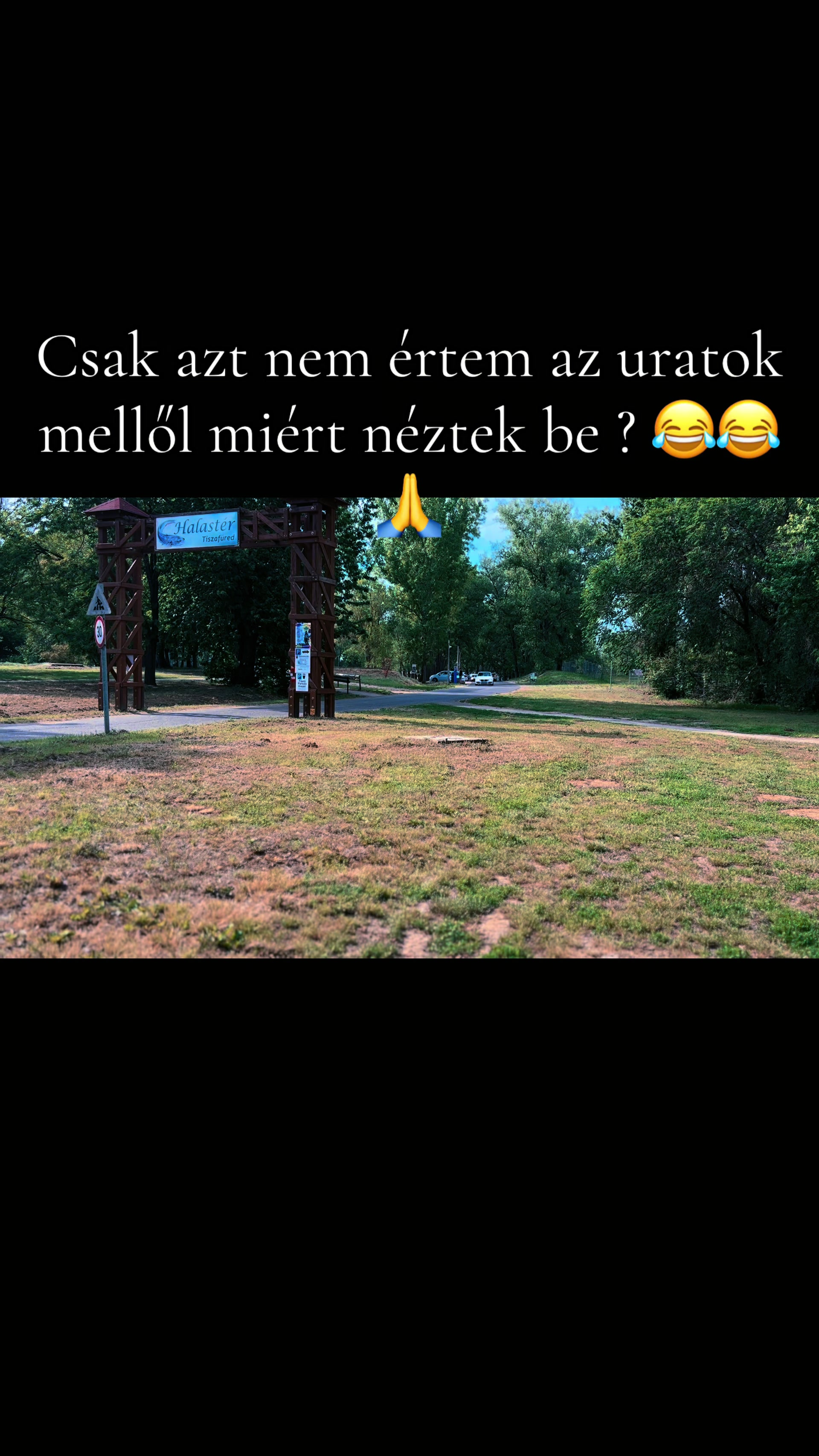 @Erik/leonidasz