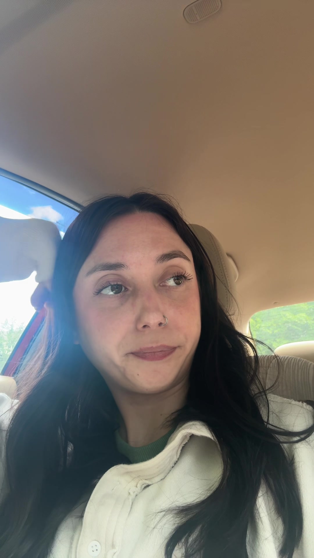 @briconatorfries