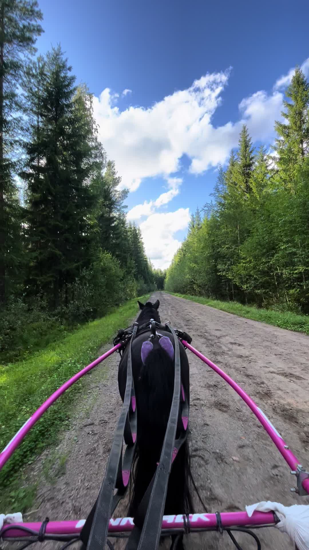 @🦄🦄