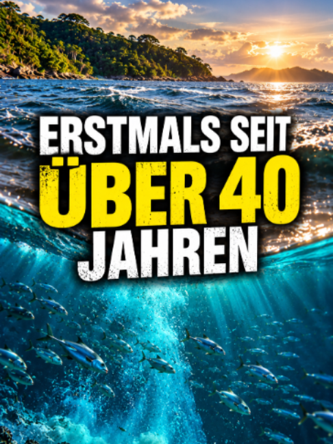 @Naturwunder erklärt