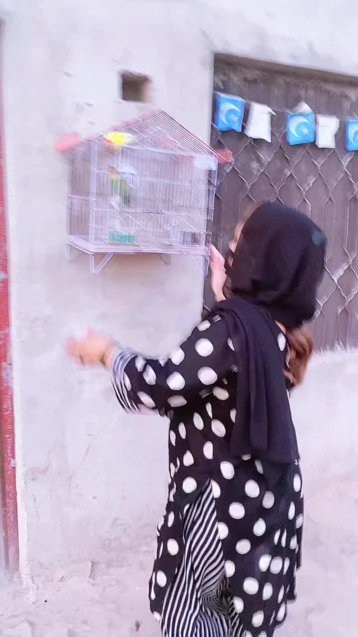 @Shehzadi Butt