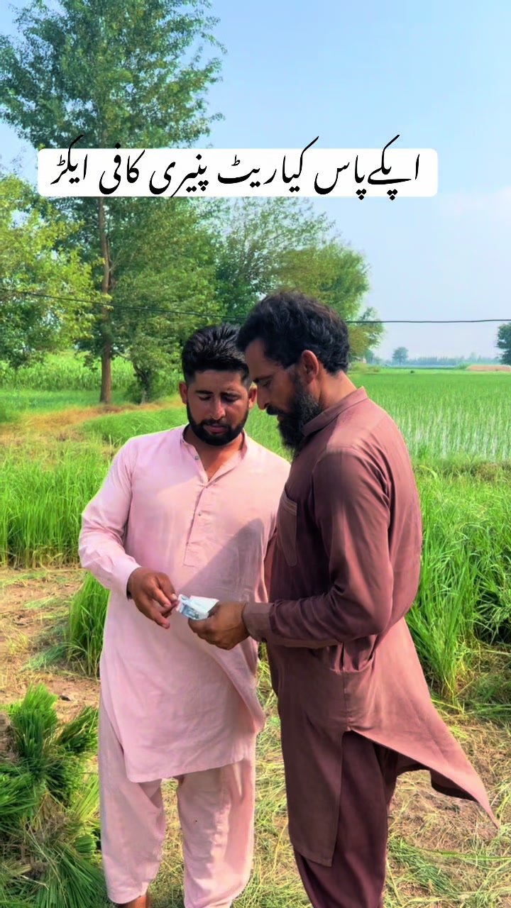 @پینڈو بوائز 378