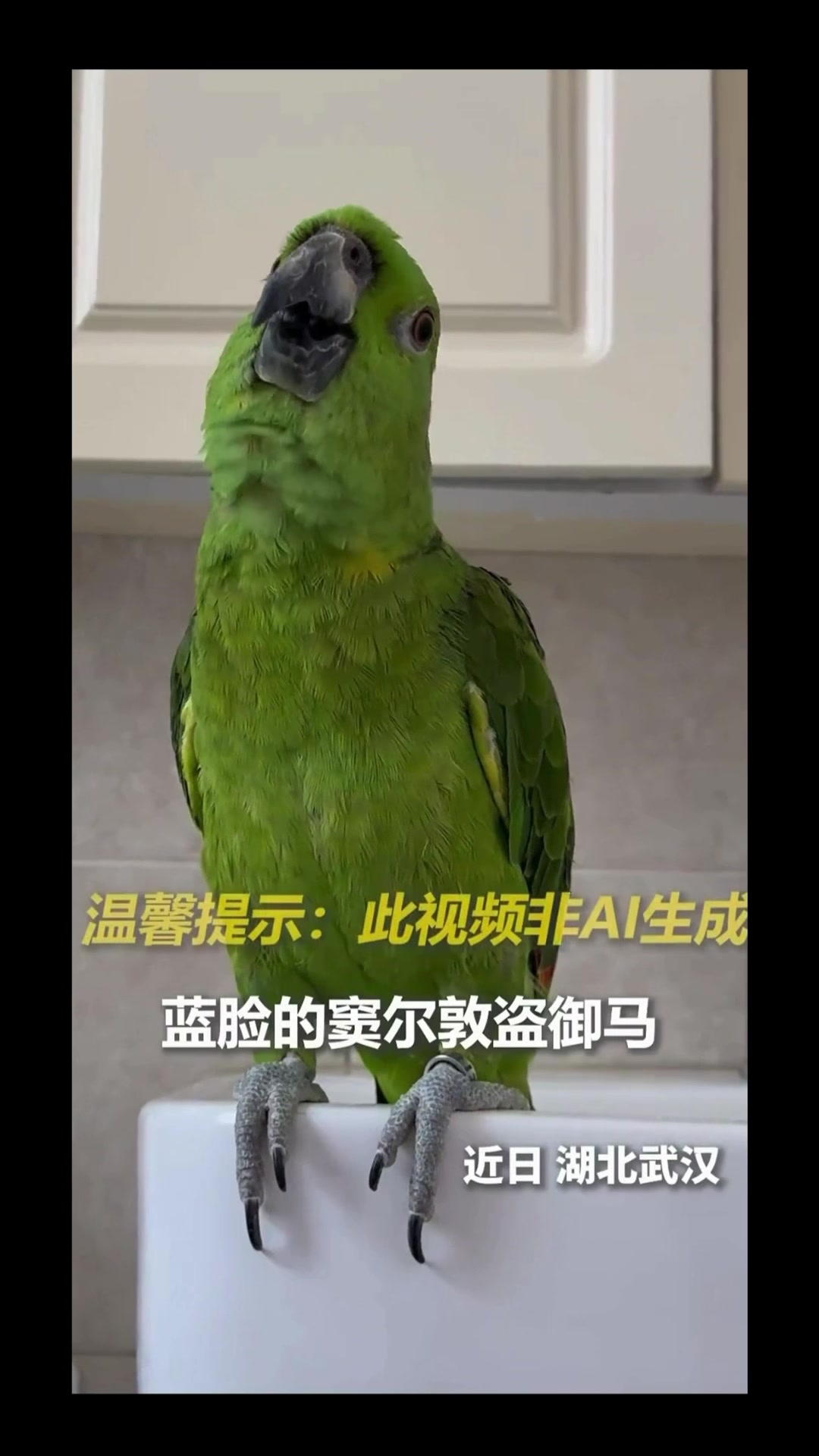 @沧海一粟3