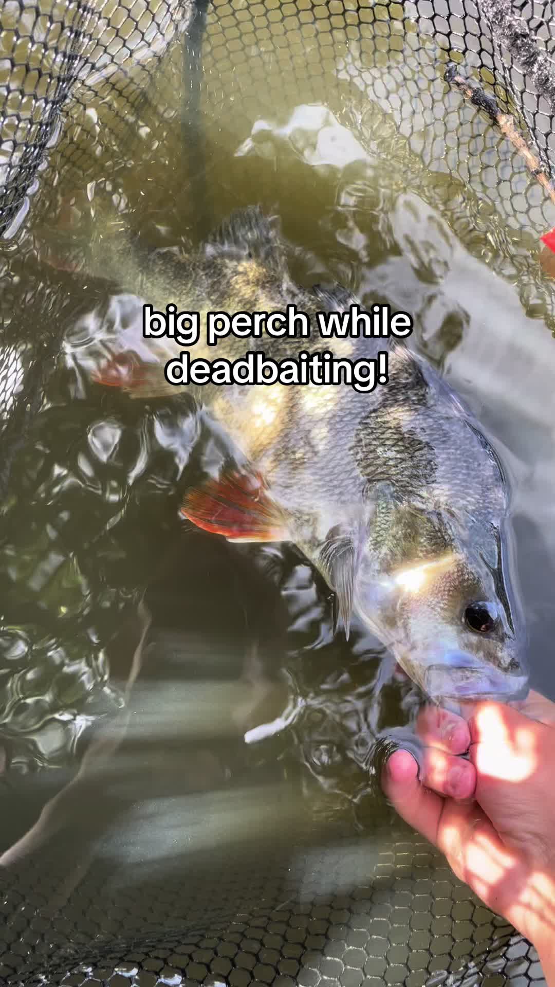 @kh.angling