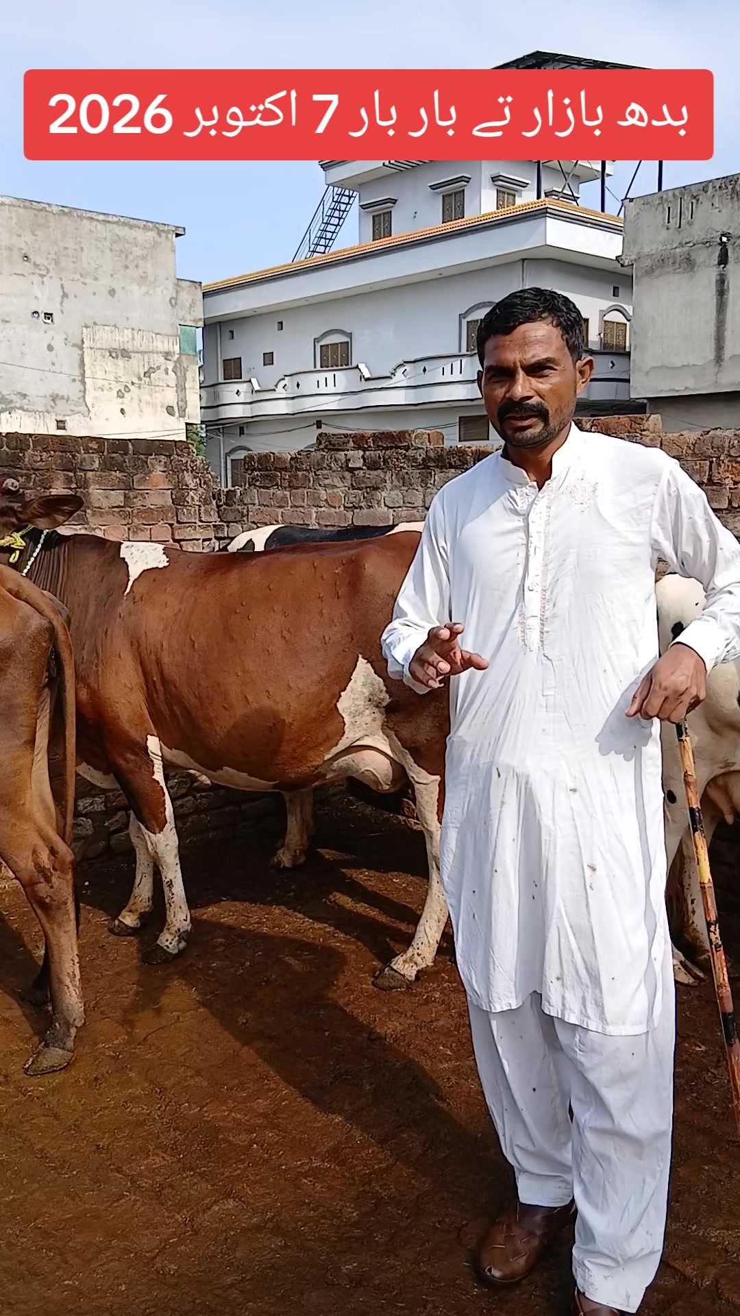 @Farming and Business Ideas