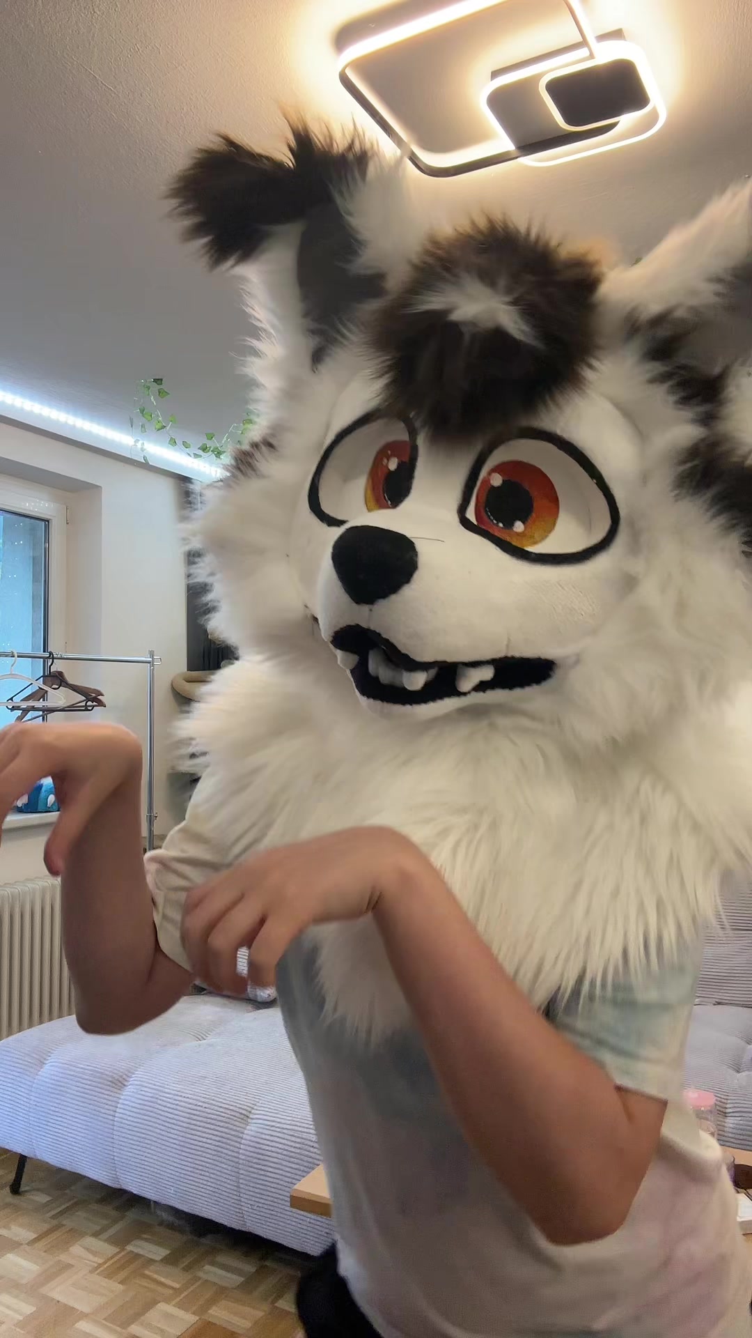 @fuzzybee