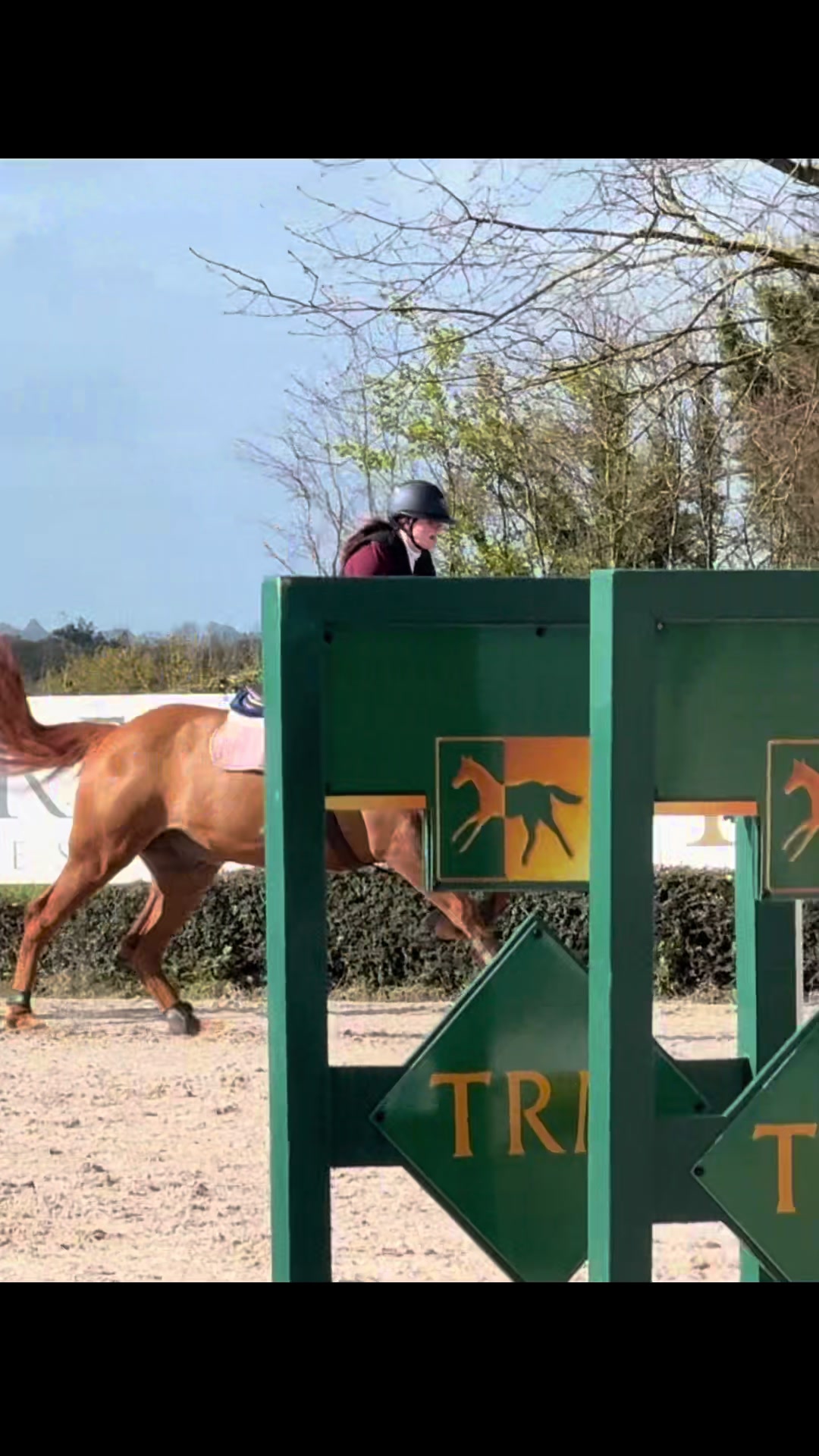 @🤍🐎Eloise🐎🤍