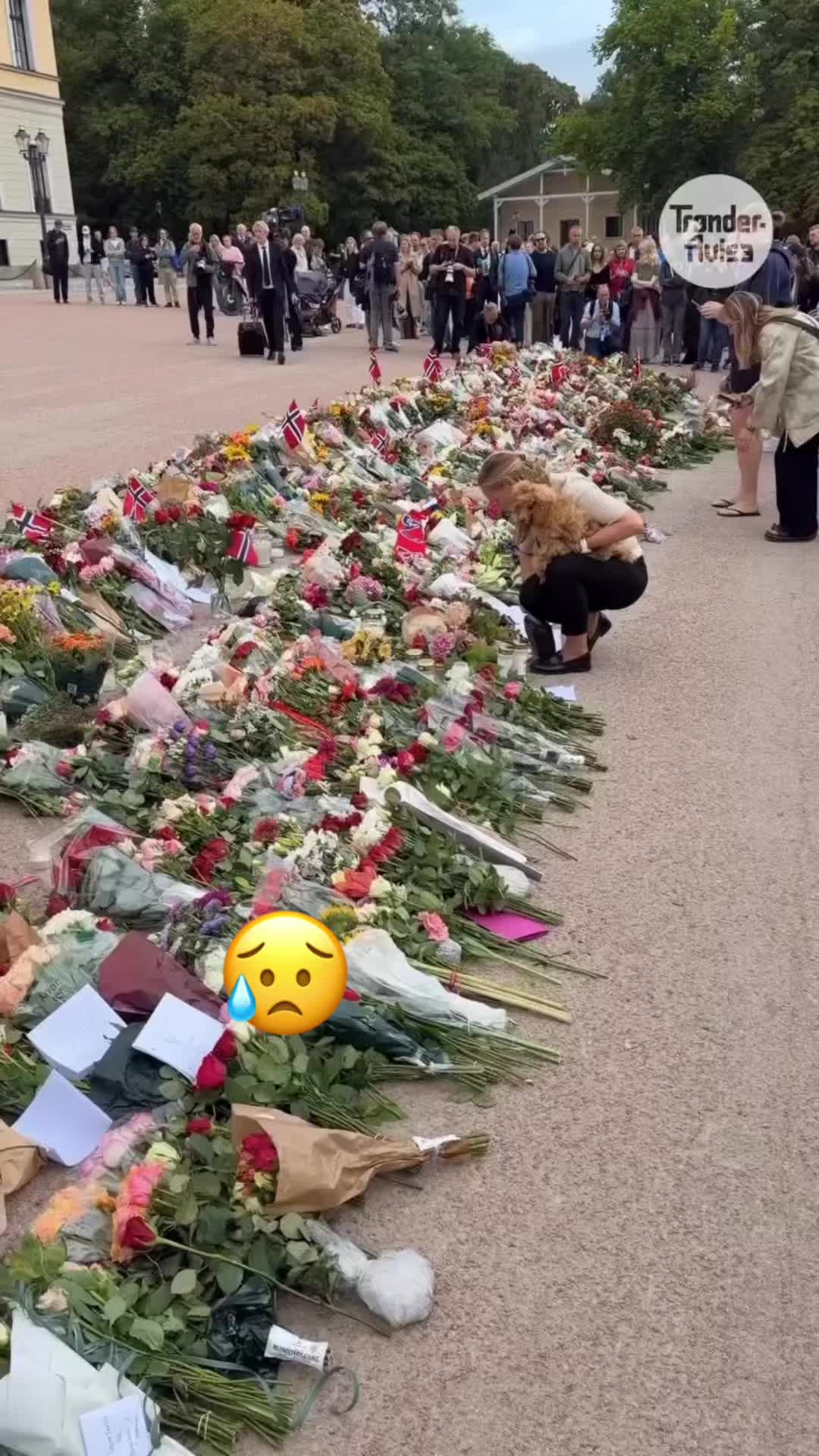 @Marzia Golzari