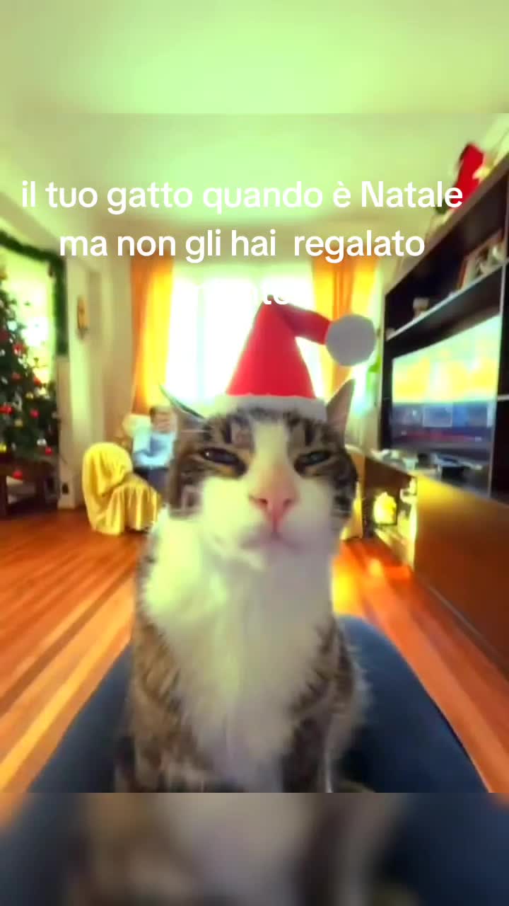 @luca squillante 45