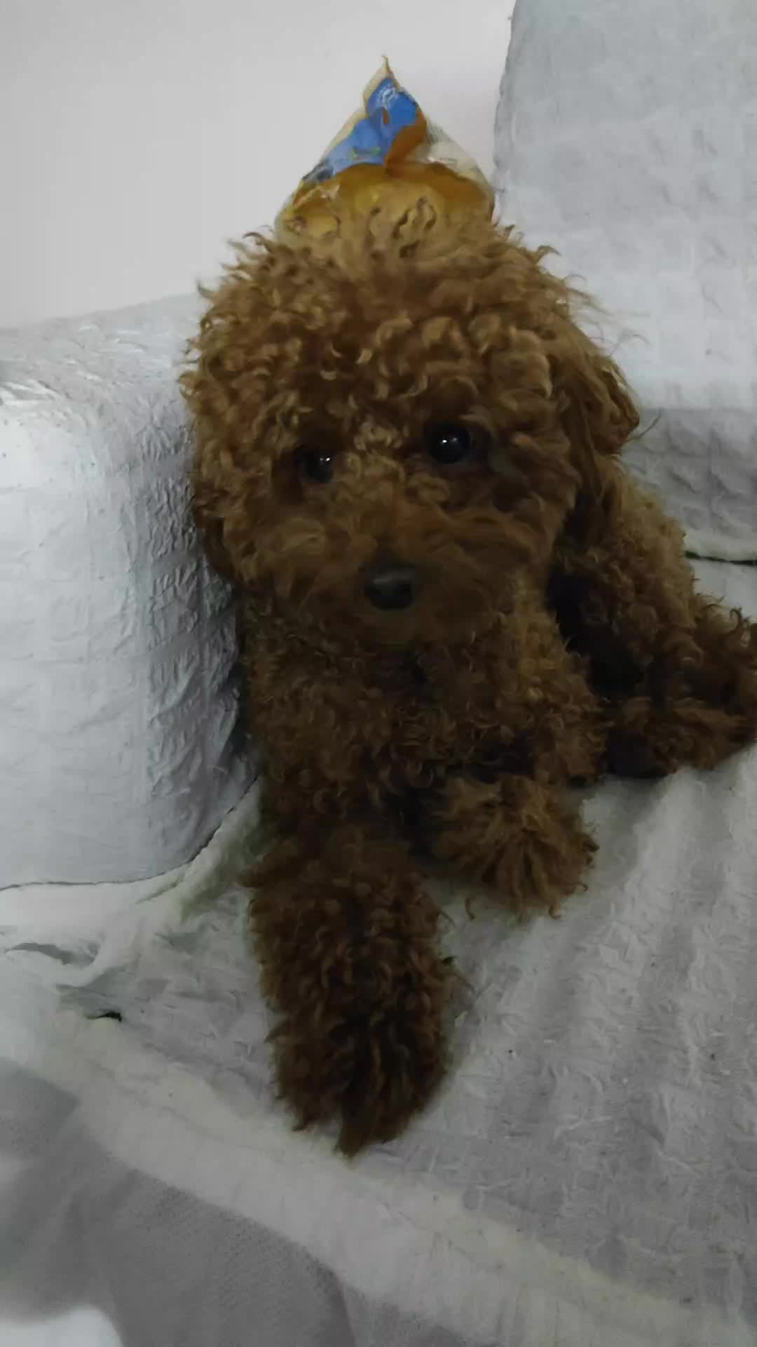 @❤️