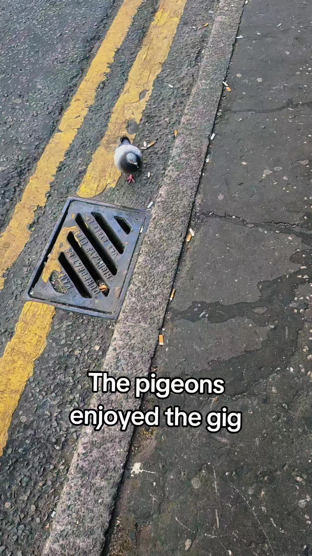 @RealPhillipCarter