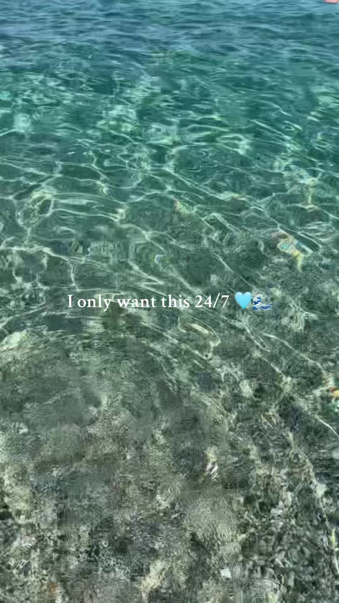 @𝓜𝓻𝓼 𝓢𝓮𝓲𝓫 ᥫ᭡