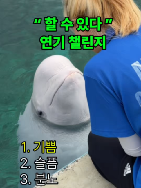 @DolphinTok