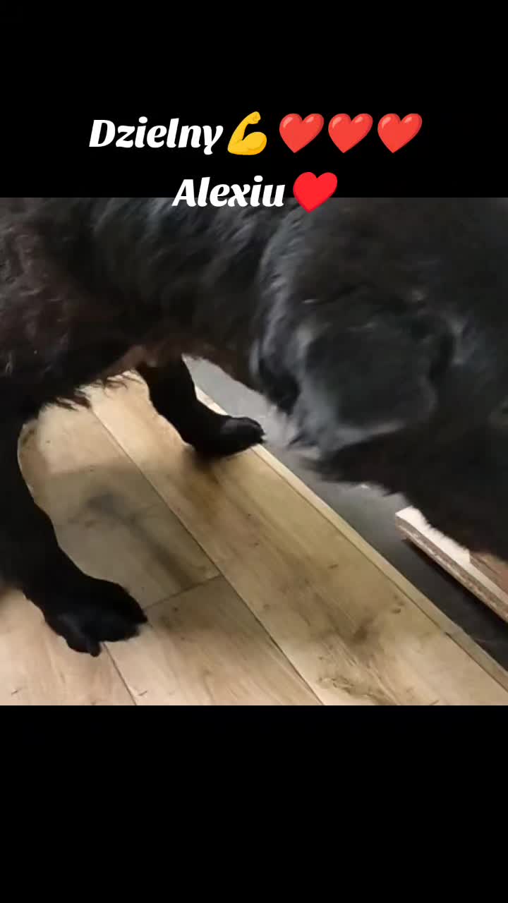 @OstojaUBabyJagi_AgaNowak