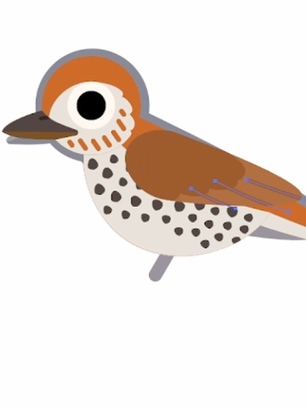 @Flock Around