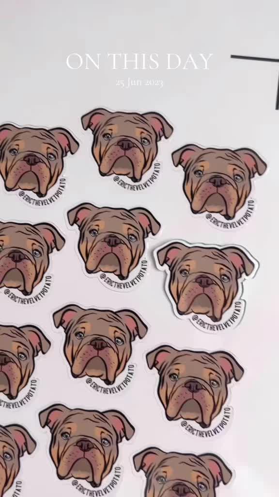 @Digi Doggo