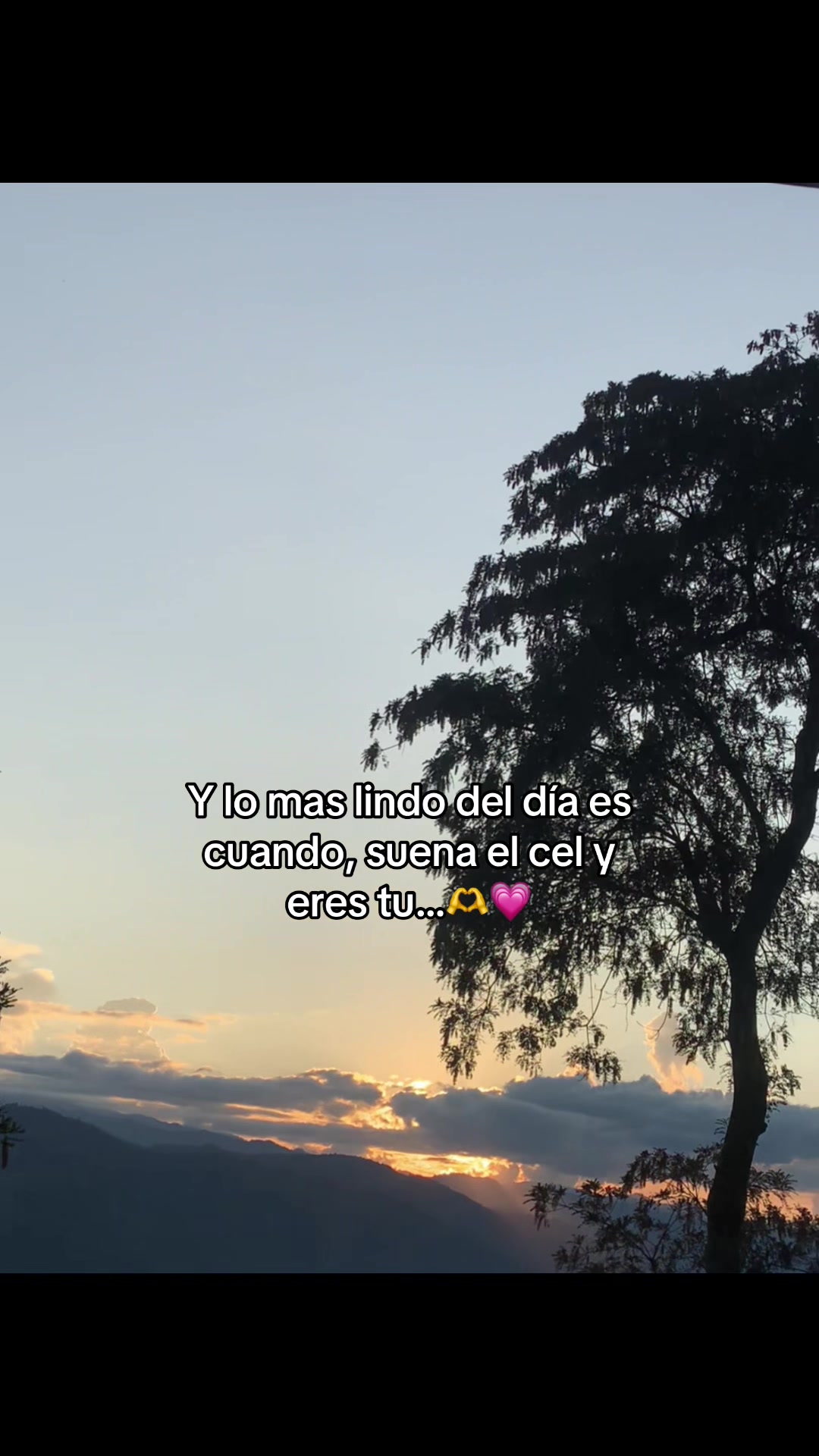 @🌓🐢Gaby🌓🐢