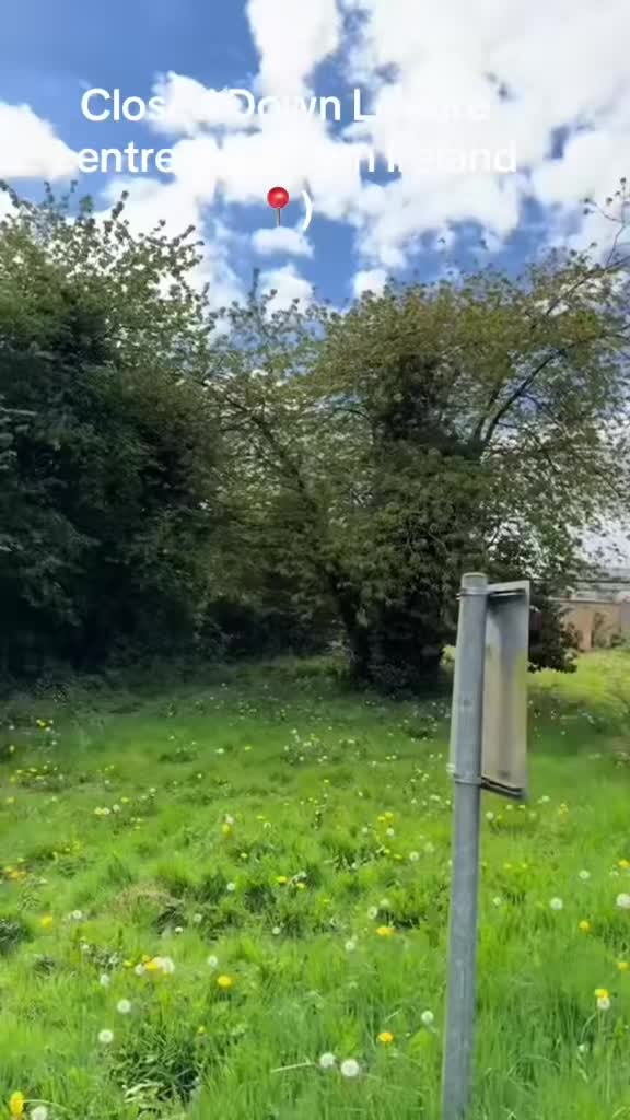 @Cadhan litter