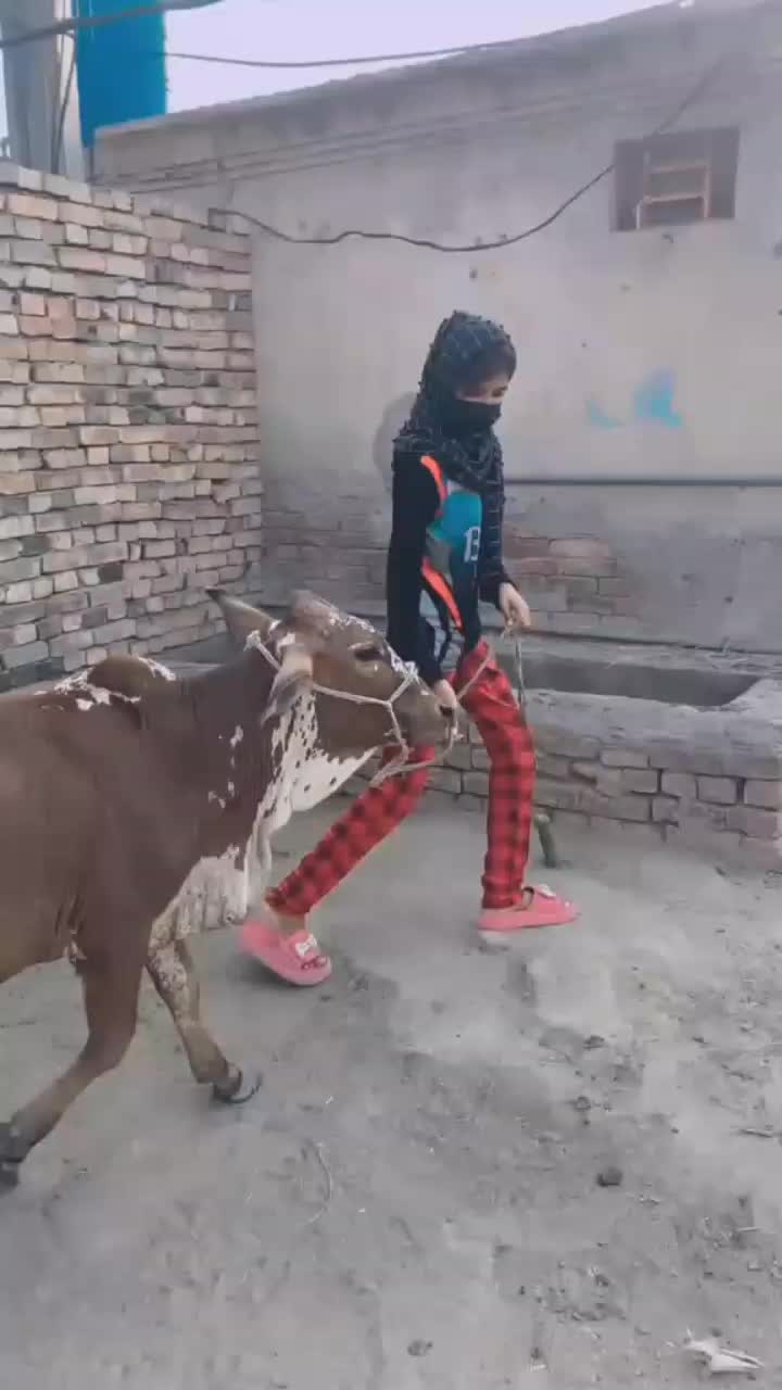 @aimamalik