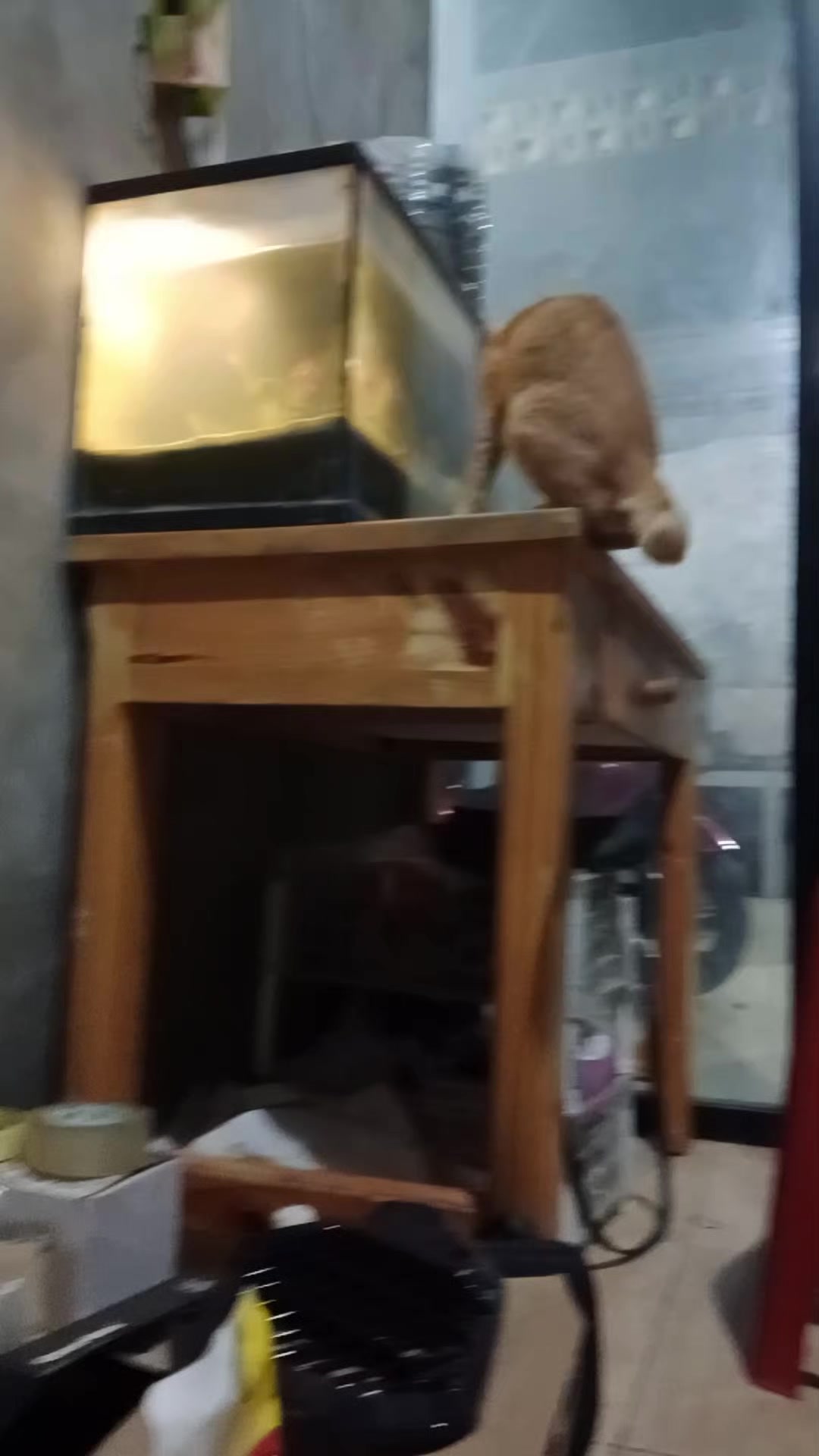 @rharizqi