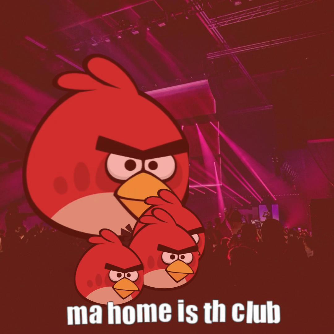 @Angry Birds