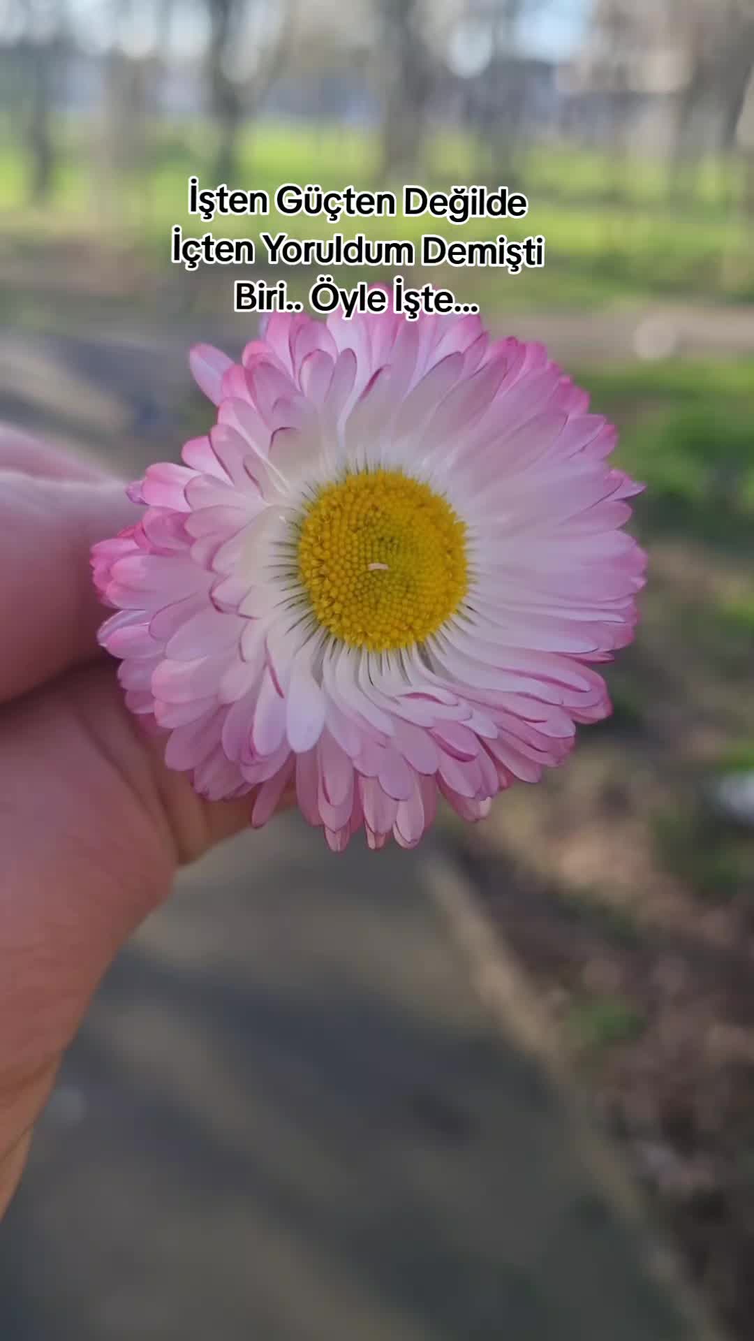 @Ay__nature
