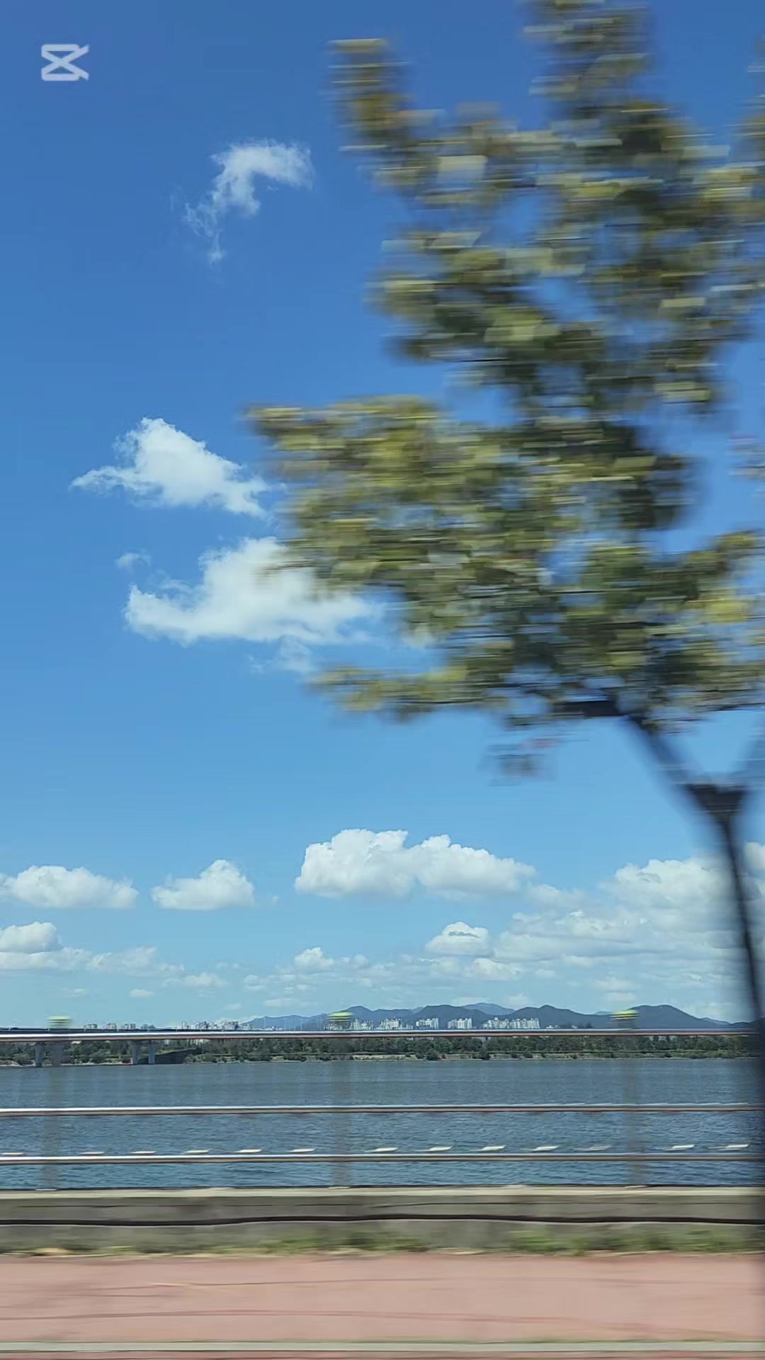 @딸기공쥬
