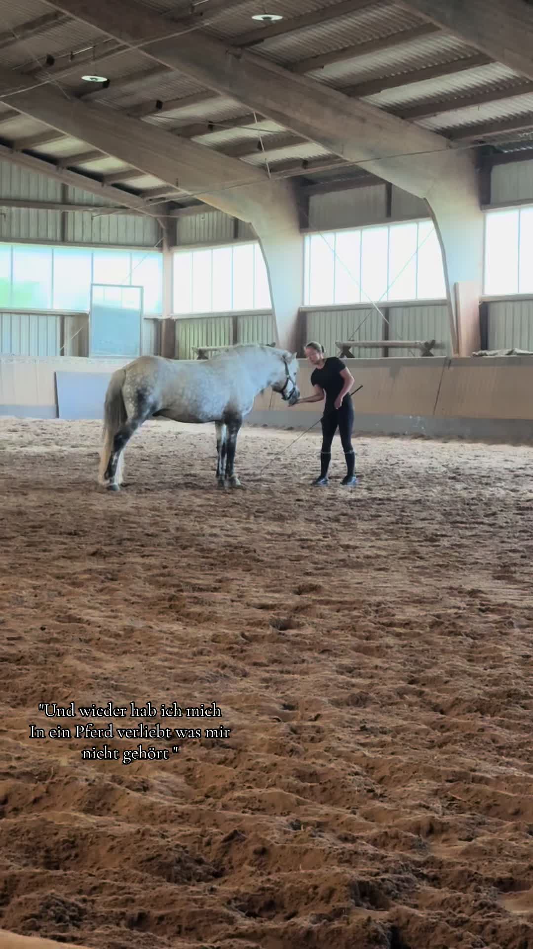 @Horses