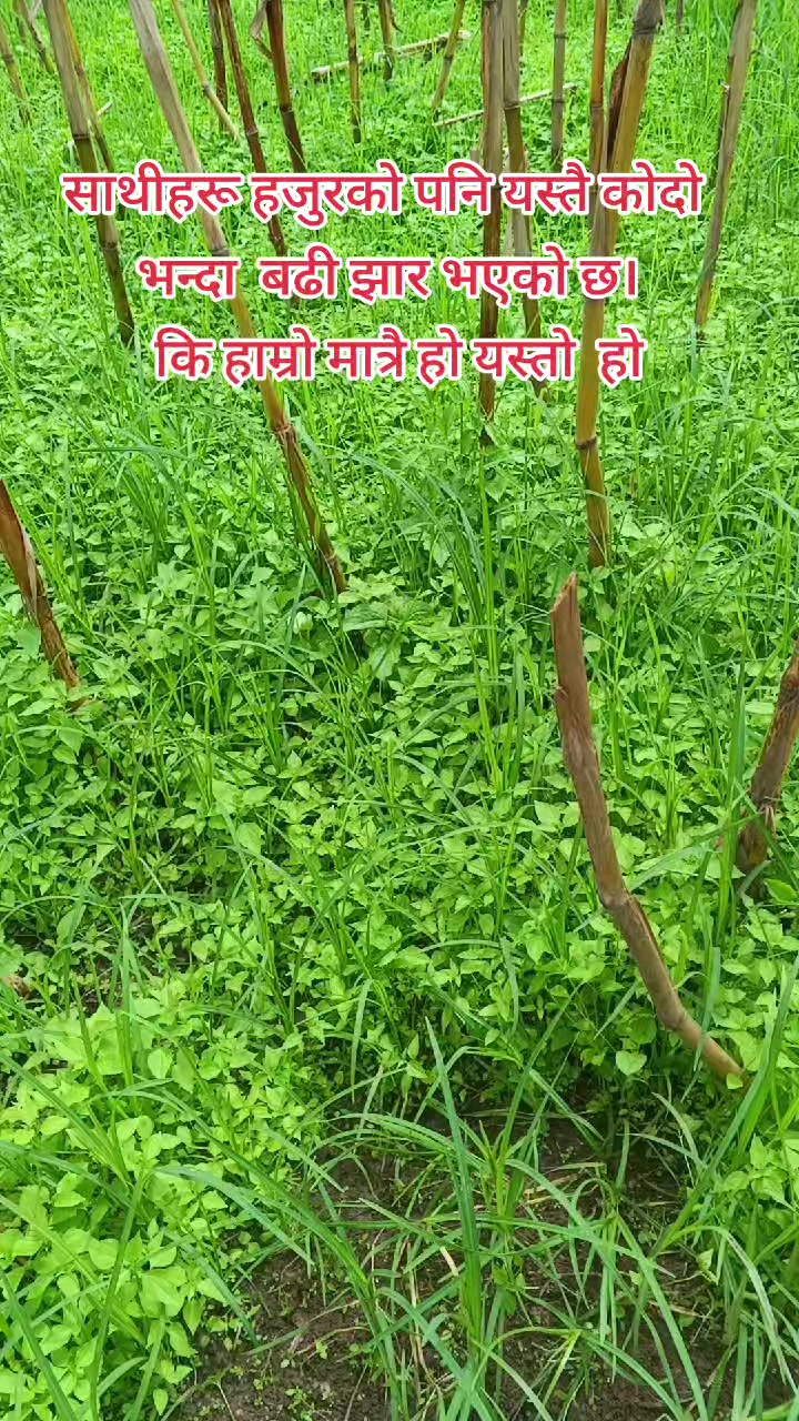 @Sarmila❤️❤️Rajan