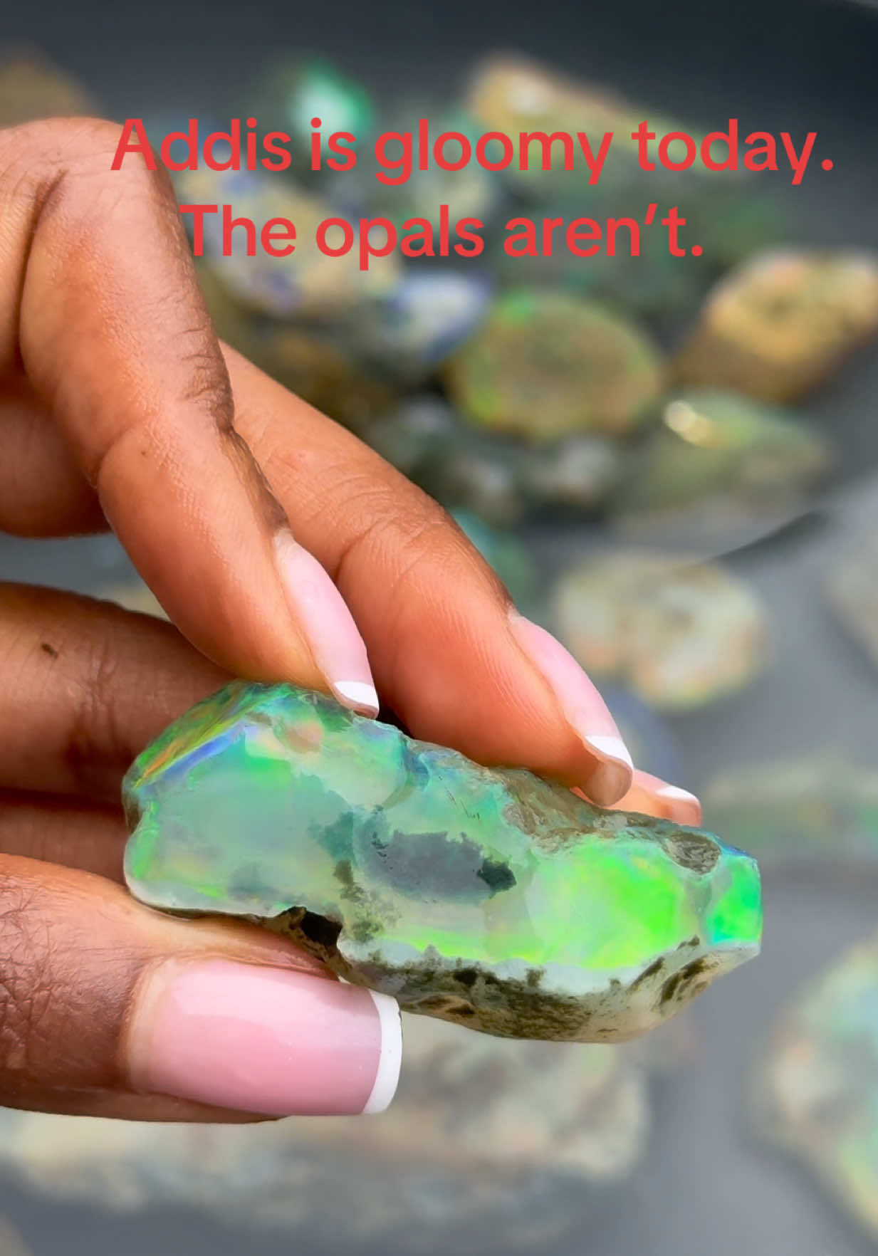 @theopaltrove