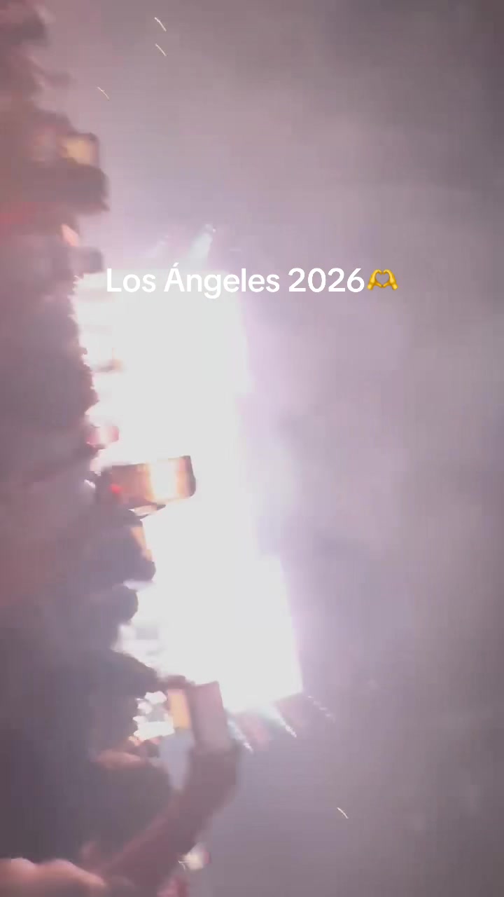@irenesalgado225