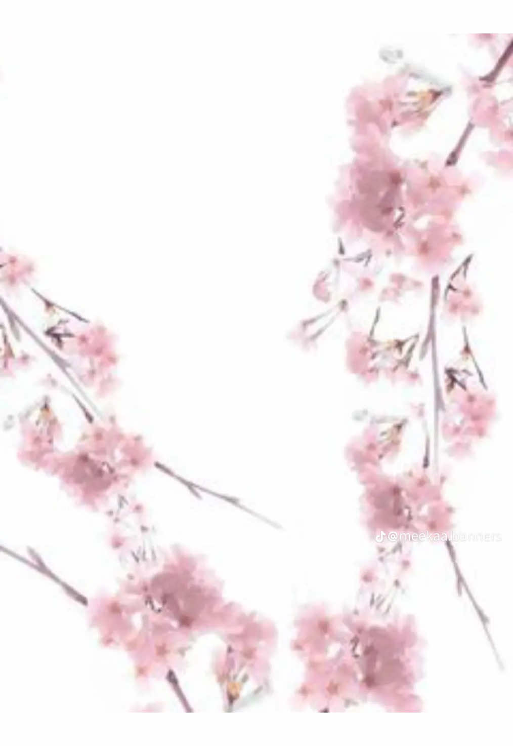 @⋂⑅⋂ᣟ݂ 샘𓂂𝗺𝗶𝗼 𓐇ྀི۫❤️