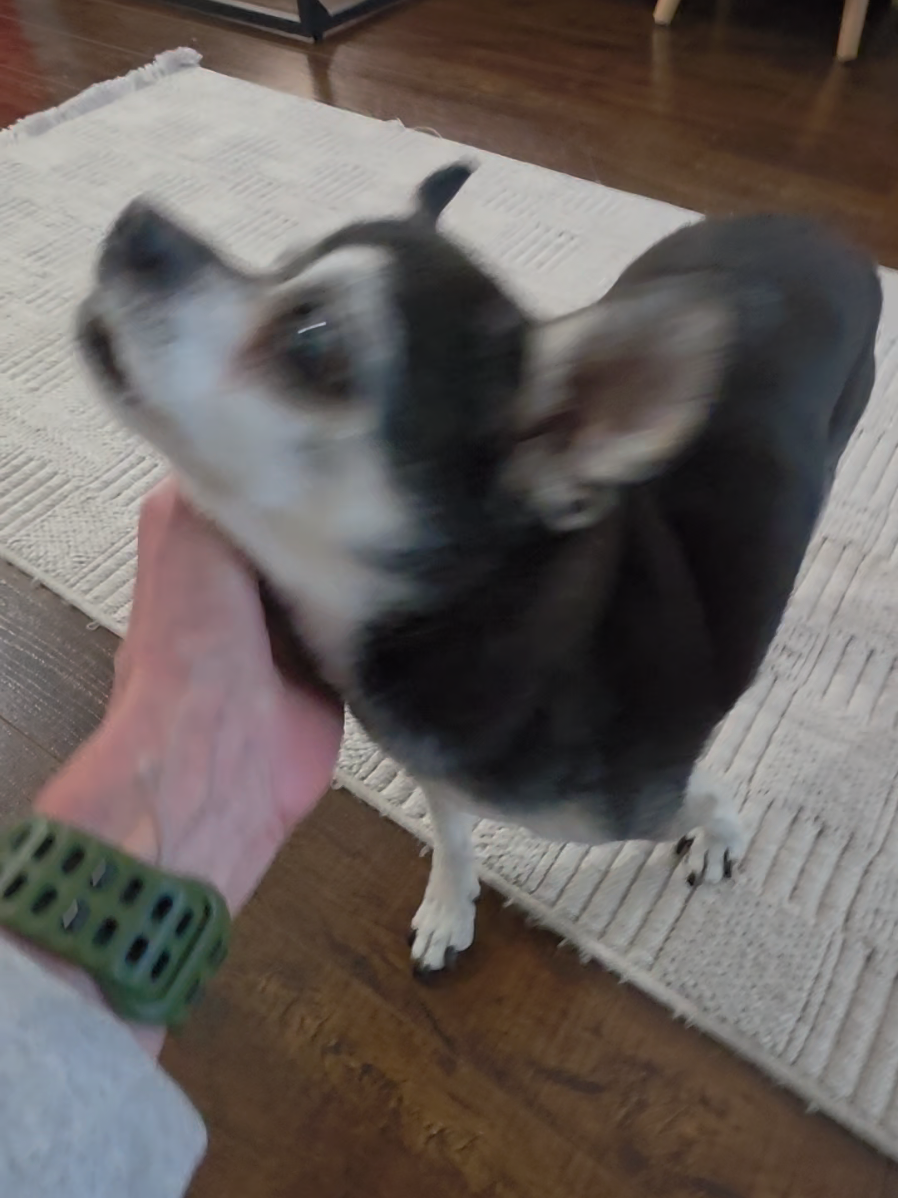 @𝕾𝖙𝖊𝖕𝖍𝖆𝖓𝖎𝖊