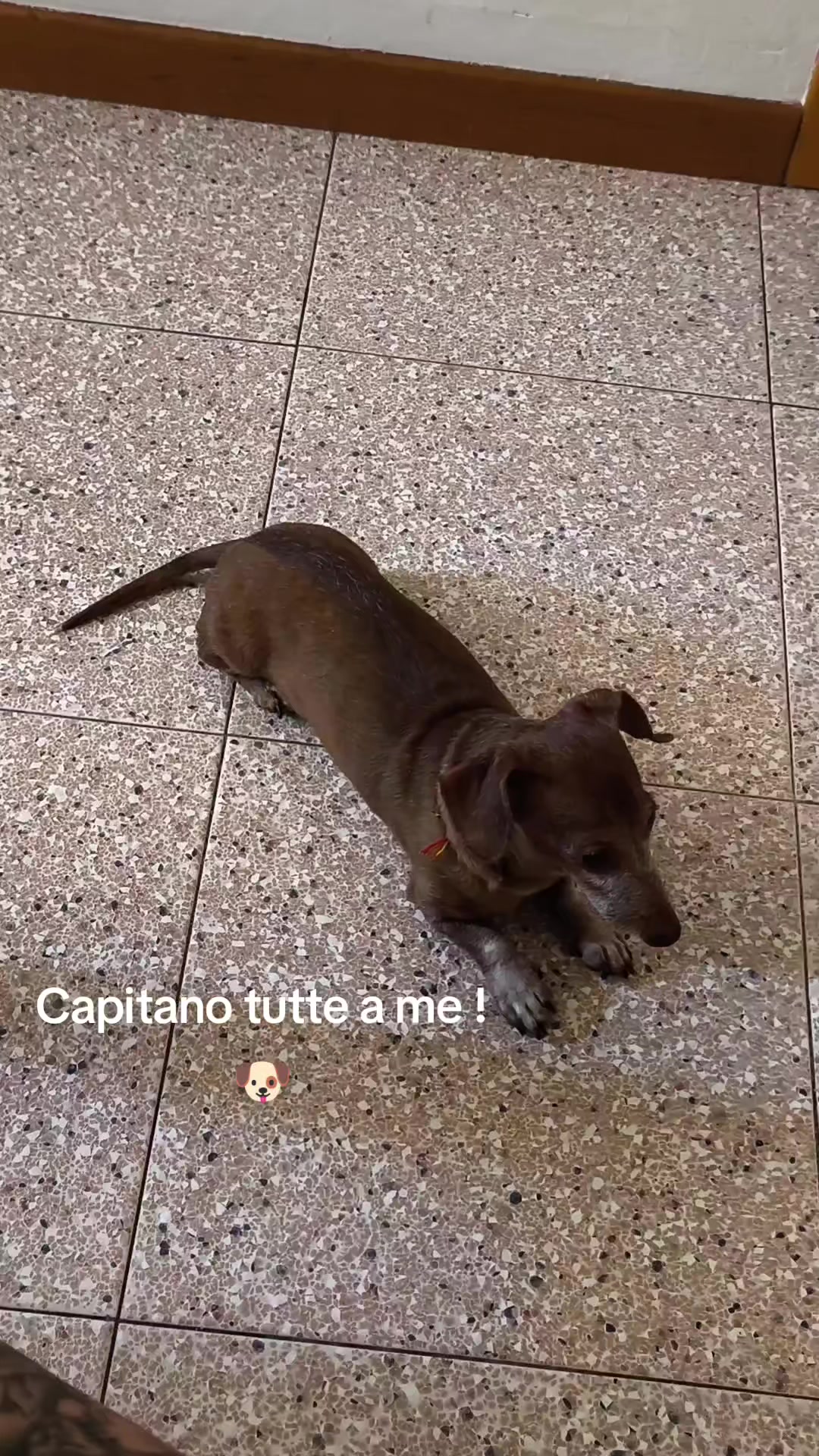 @Marta e Jj