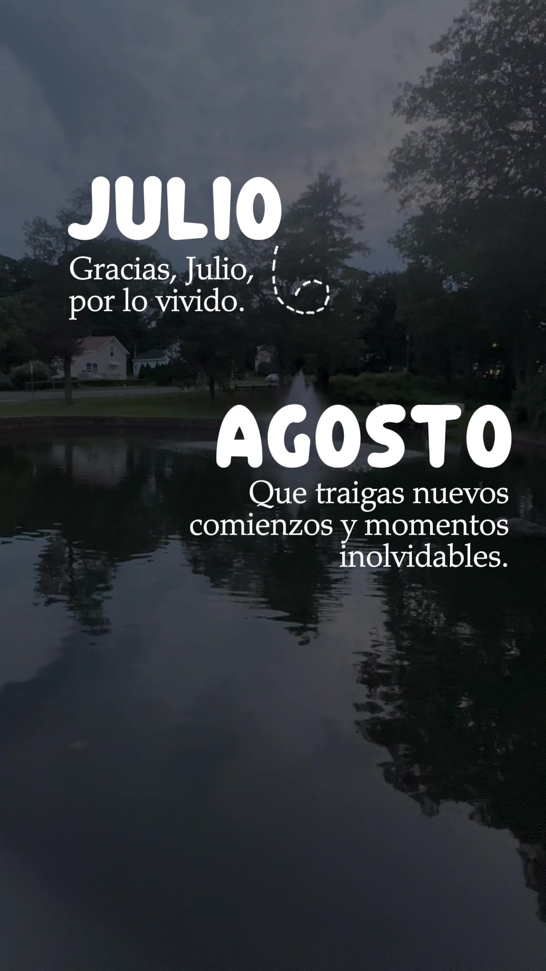 @Liliana Merino
