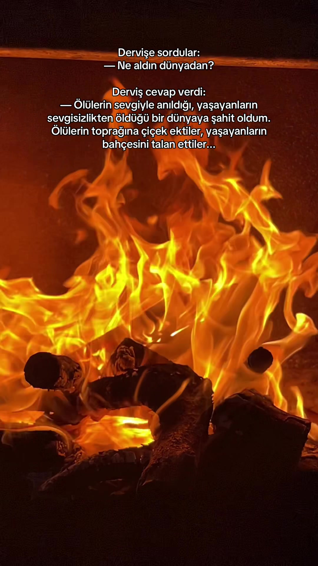 @H&uuml;seyin Alkan