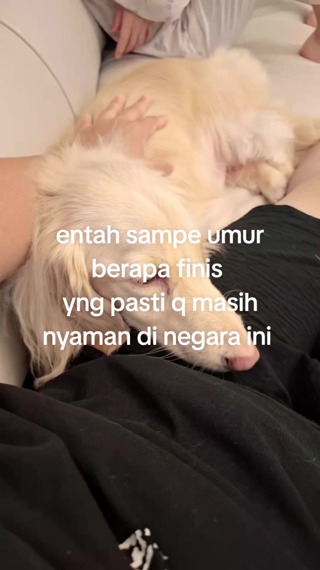 @☆