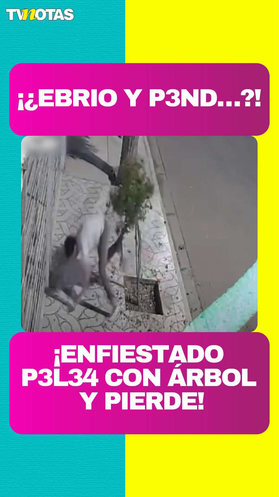 @Revista TVNotas