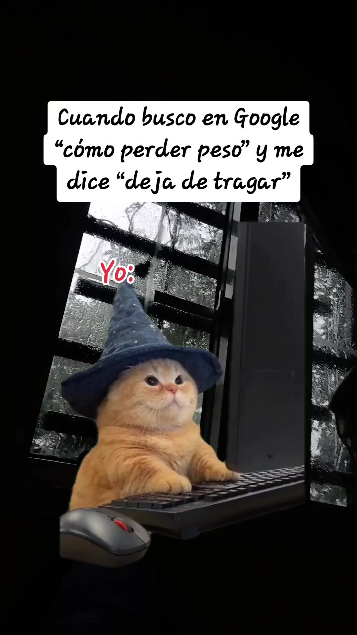 @Flor de María✨️
