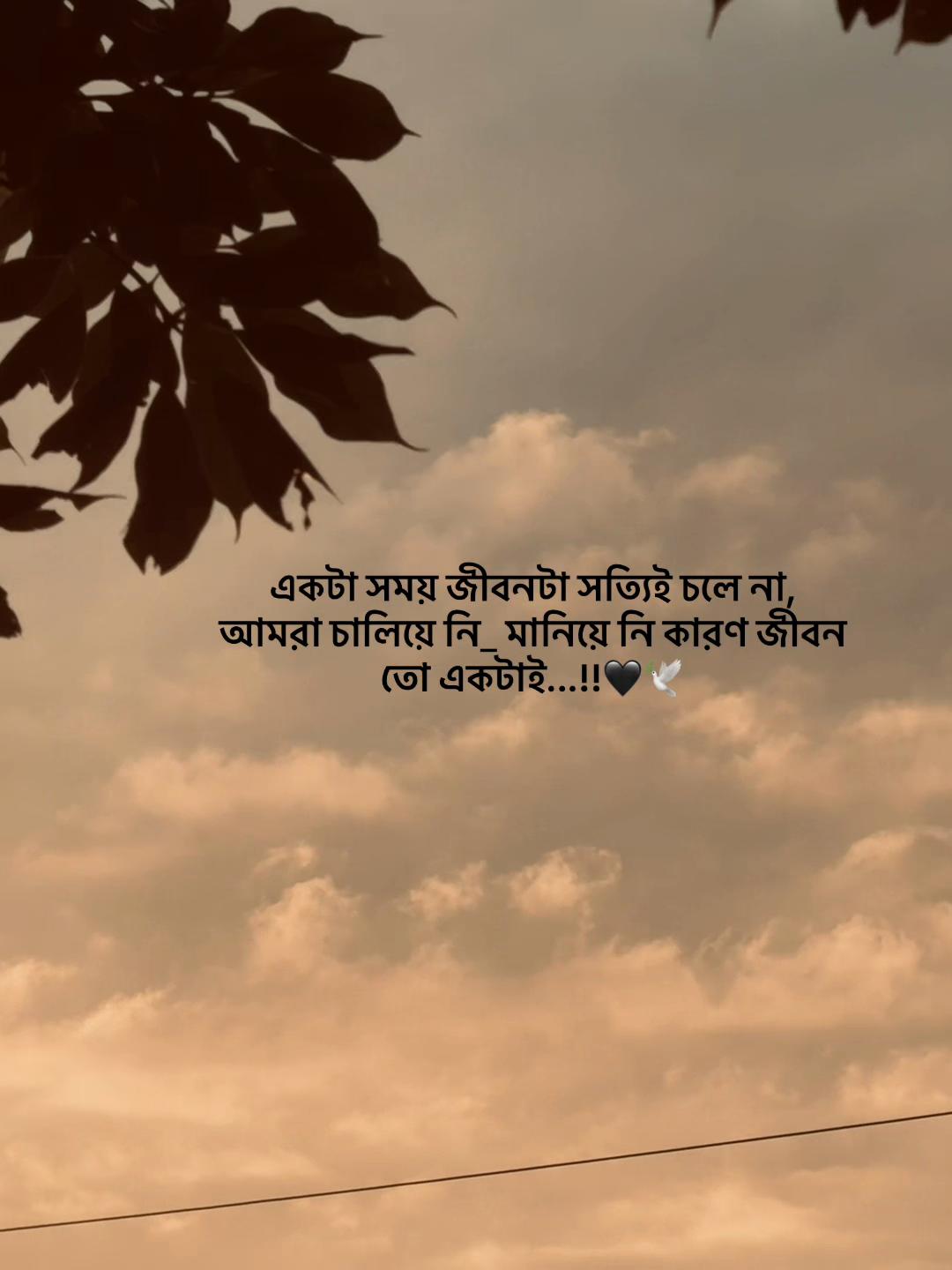 @Jahidul lslam 95